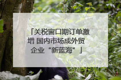 关税窗口期订单激增 国内市场成外贸企业“新蓝海”
