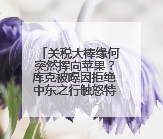 关税大棒缘何突然挥向苹果？库克被曝因拒绝中东之行触怒特朗普