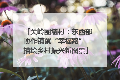 关岭围墙村：东西部协作铺就“幸福路” 描绘乡村振兴新图景