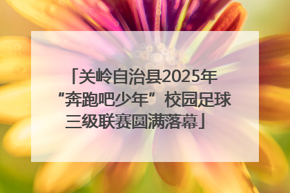 关岭自治县2025年“奔跑吧少年”校园足球三级联赛圆满落幕