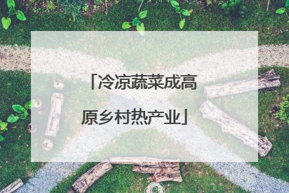 冷凉蔬菜成高原乡村热产业