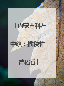 内蒙古科左中旗：插秧忙 待稻香