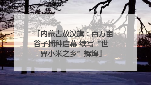 内蒙古敖汉旗：百万亩谷子播种启幕 续写“世界小米之乡”辉煌