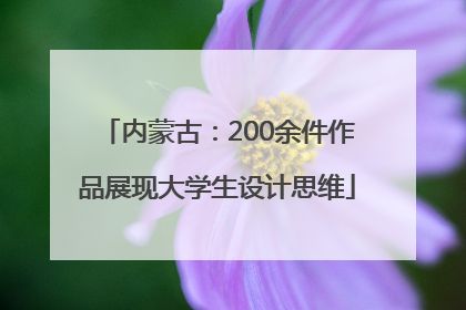 内蒙古：200余件作品展现大学生设计思维