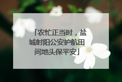 农忙正当时，盐城射阳公安护航田间地头保平安