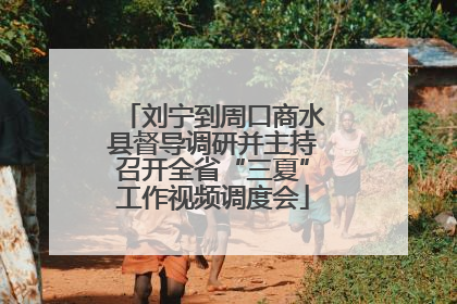 刘宁到周口商水县督导调研并主持召开全省“三夏”工作视频调度会