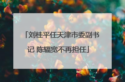 刘桂平任天津市委副书记 陈辐宽不再担任