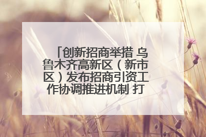 创新招商举措 乌鲁木齐高新区（新市区）发布招商引资工作协调推进机制 打造投资发展新高地