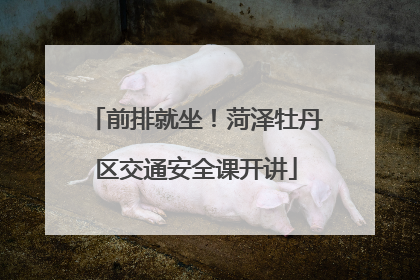 前排就坐！菏泽牡丹区交通安全课开讲