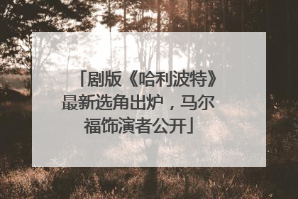 剧版《哈利波特》最新选角出炉，马尔福饰演者公开