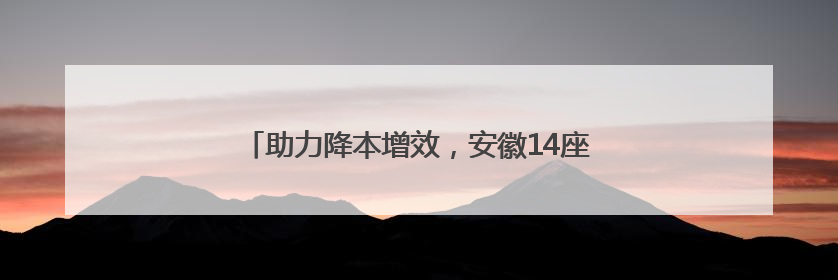助力降本增效，安徽14座船闸已纳入“最强大脑”