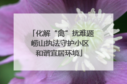 化解“禽”扰难题 崂山执法守护小区和谐宜居环境