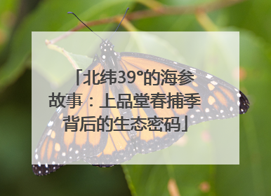 北纬39°的海参故事：上品堂春捕季背后的生态密码