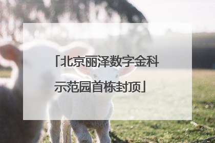 北京丽泽数字金科示范园首栋封顶
