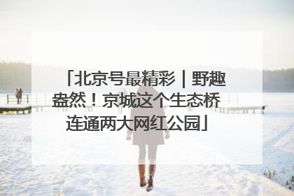 北京号最精彩｜野趣盎然！京城这个生态桥连通两大网红公园