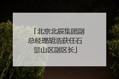 北京北辰集团副总经理胡浩获任石景山区副区长