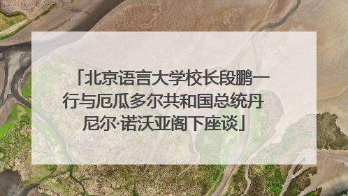北京语言大学校长段鹏一行与厄瓜多尔共和国总统丹尼尔·诺沃亚阁下座谈