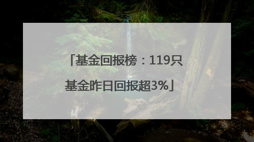 基金回报榜：119只基金昨日回报超3%