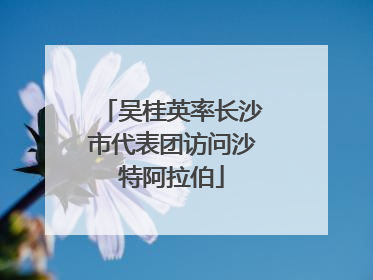 吴桂英率长沙市代表团访问沙特阿拉伯