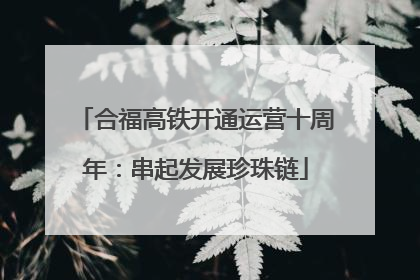 合福高铁开通运营十周年：串起发展珍珠链