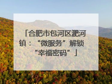 合肥市包河区淝河镇:“微服务”解锁“幸福密码”