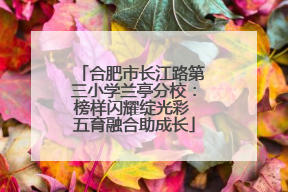 合肥市长江路第三小学兰亭分校：榜样闪耀绽光彩 五育融合助成长