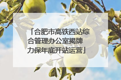 合肥市高铁西站综合管理办公室揭牌 力保年底开站运营