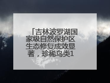 吉林波罗湖国家级自然保护区生态修复成效显著，珍稀鸟类10年增加5倍