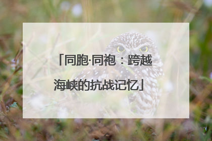 同胞·同袍：跨越海峡的抗战记忆