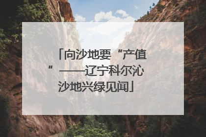 向沙地要“产值”——辽宁科尔沁沙地兴绿见闻