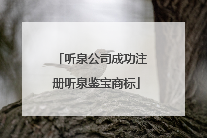 听泉公司成功注册听泉鉴宝商标