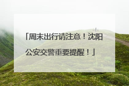 周末出行请注意！沈阳公安交警重要提醒！