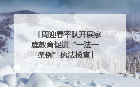 周迎春率队开展家庭教育促进“一法一条例”执法检查