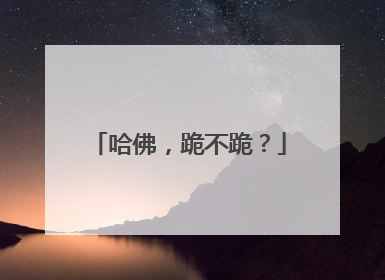 哈佛，跪不跪？
