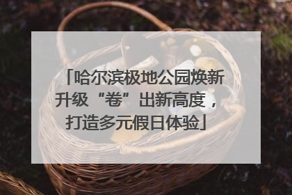 哈尔滨极地公园焕新升级“卷”出新高度，打造多元假日体验