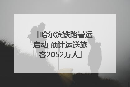 哈尔滨铁路暑运启动 预计运送旅客2052万人