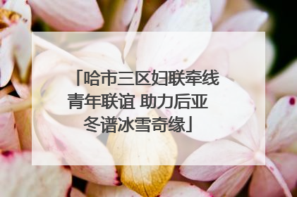 哈市三区妇联牵线青年联谊 助力后亚冬谱冰雪奇缘