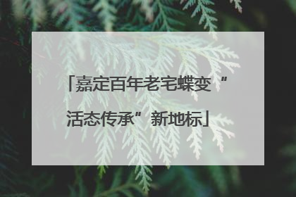 嘉定百年老宅蝶变“活态传承”新地标