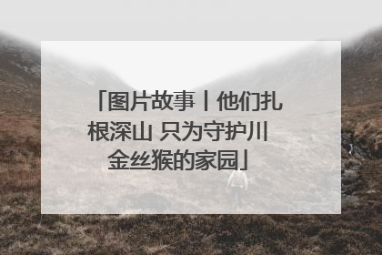 图片故事丨他们扎根深山 只为守护川金丝猴的家园