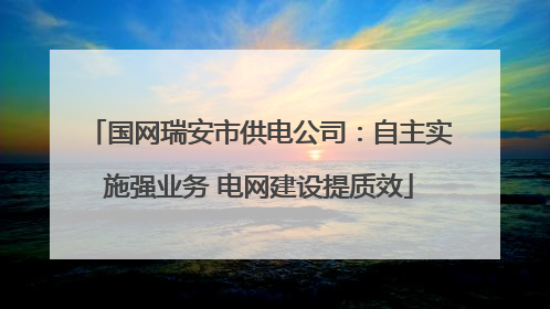 国网瑞安市供电公司：自主实施强业务 电网建设提质效
