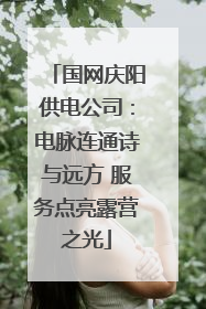 国网庆阳供电公司：电脉连通诗与远方 服务点亮露营之光