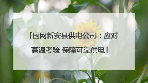 国网新安县供电公司：应对高温考验 保障可靠供电