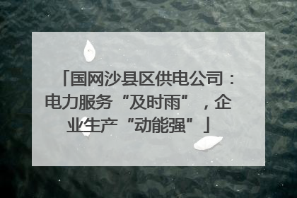 国网沙县区供电公司：电力服务“及时雨”，企业生产“动能强”
