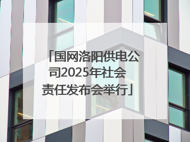 国网洛阳供电公司2025年社会责任发布会举行