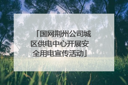 国网荆州公司城区供电中心开展安全用电宣传活动