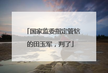 国家监委指定管辖的田玉军，判了