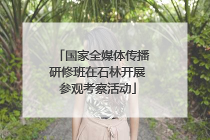 国家全媒体传播研修班在石林开展参观考察活动