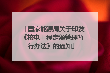 国家能源局关于印发《核电工程定额管理暂行办法》的通知