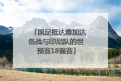国足抵达雅加达备战与印尼队的世预赛18强赛