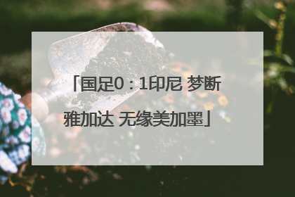 国足0∶1印尼 梦断雅加达 无缘美加墨